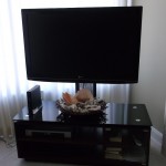 Unit B-167 Living Room TV