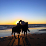 HORSES ON BEACH