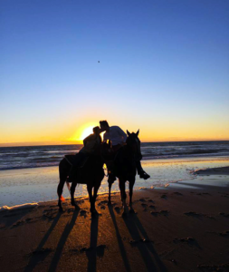 HORSES ON BEACH