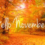 november-4