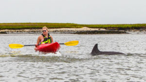 Amelia-Island-Kayak-Tour-9170