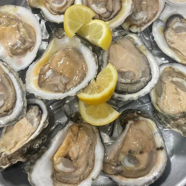 Shucker's Oyster Bar & Grill